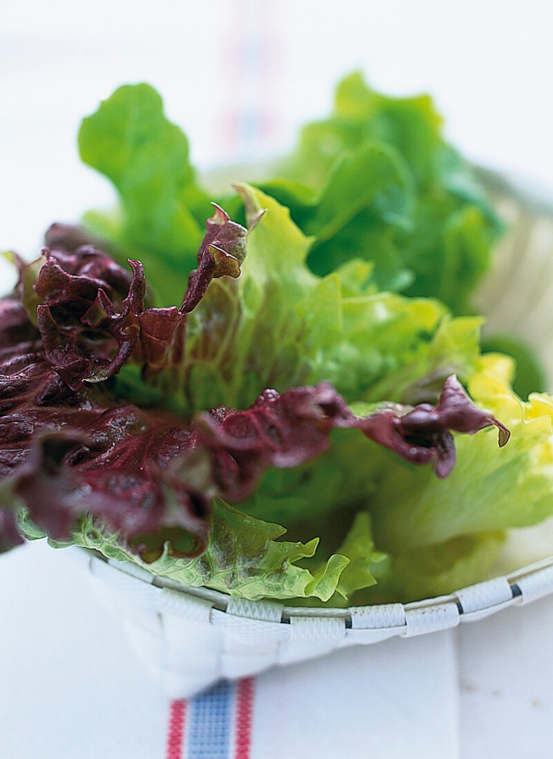 Salatblätter in einer weißen Korbschale