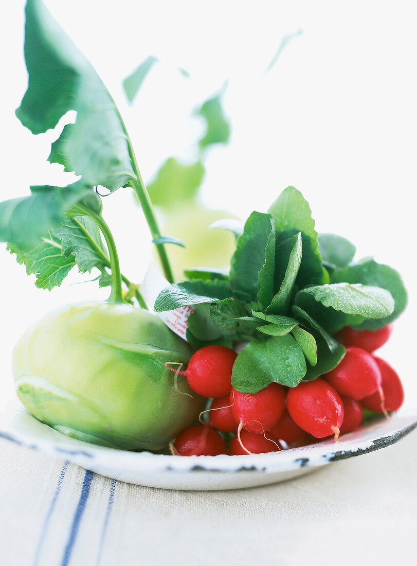 Close-up of kohlrabi and radish on plate