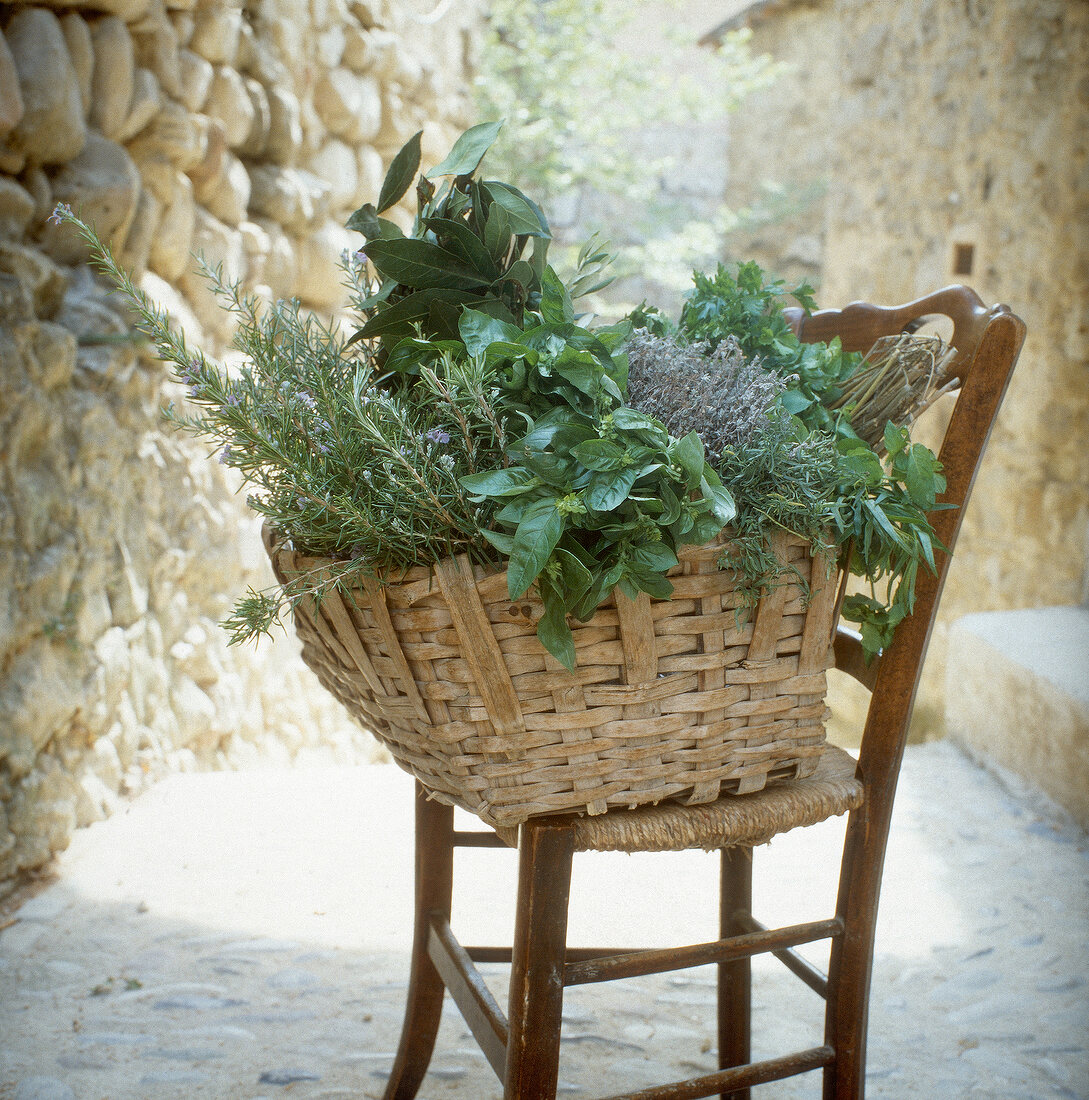 Basket of various herbs on wooden chair in yard