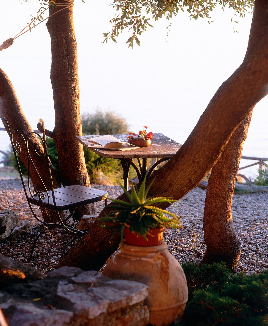 Laid table and chair under tree overlooking sea in evening