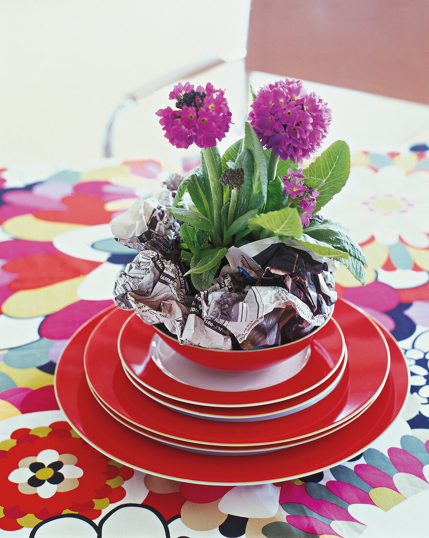 Ornamental plant in stack of bowl on table