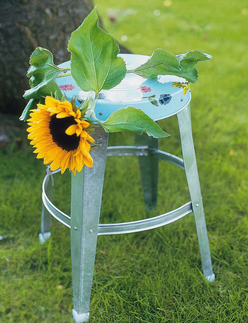 Kleiner Hocker mit einer daraufliegenden Sonnenblume im Garten