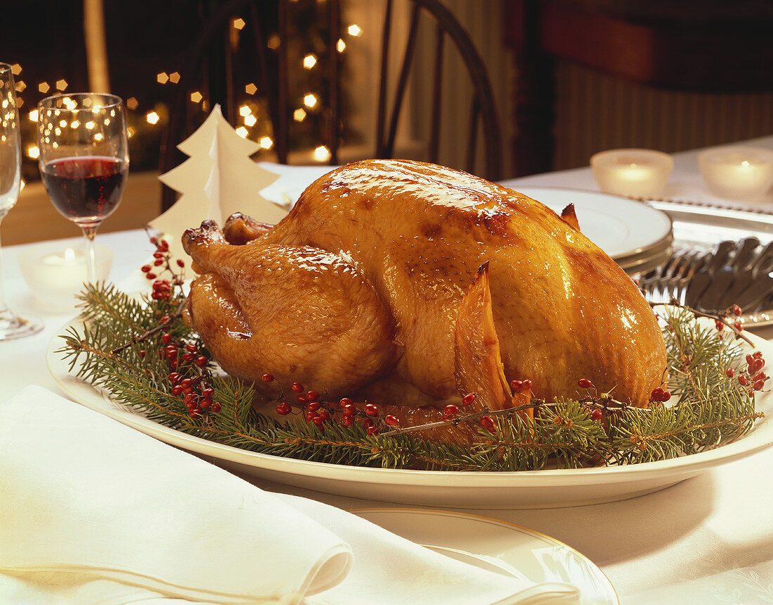 Roasted Turkey for Christmas