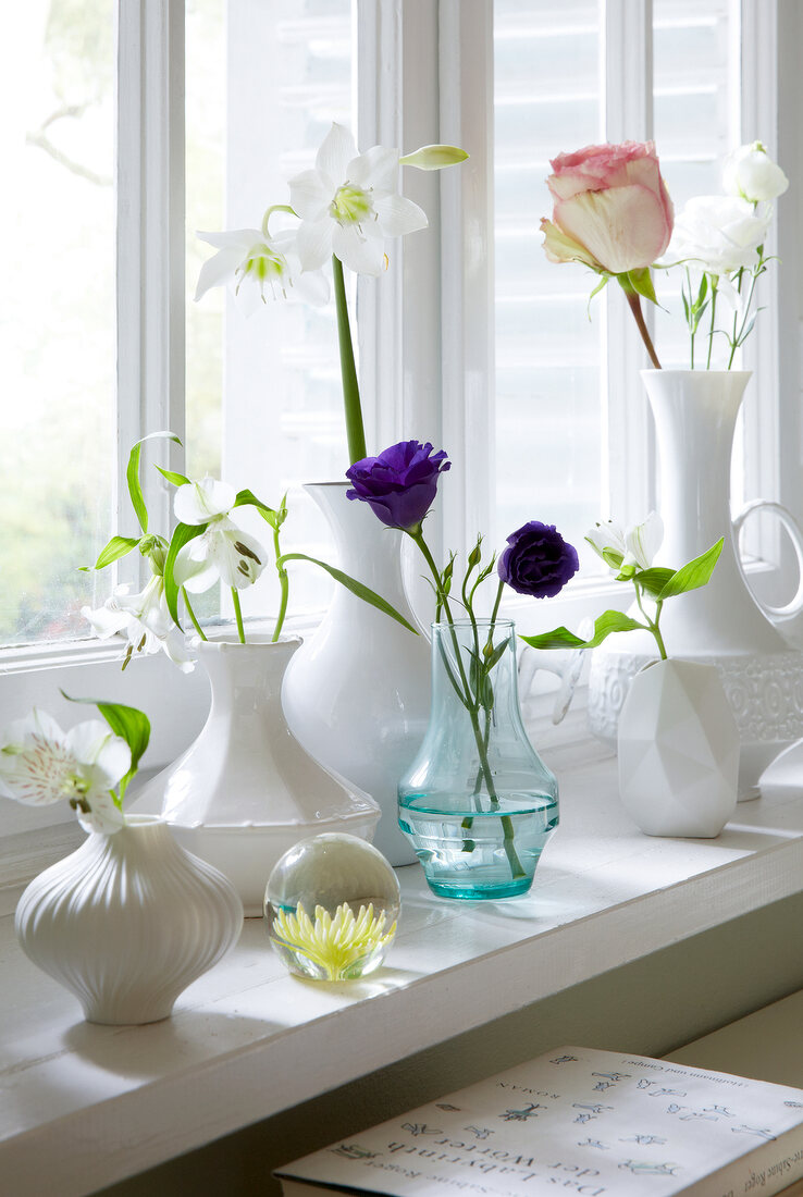 Vases, flowers, windowsill, No.2