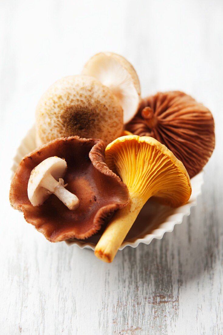 A bowl of fresh mushrooms