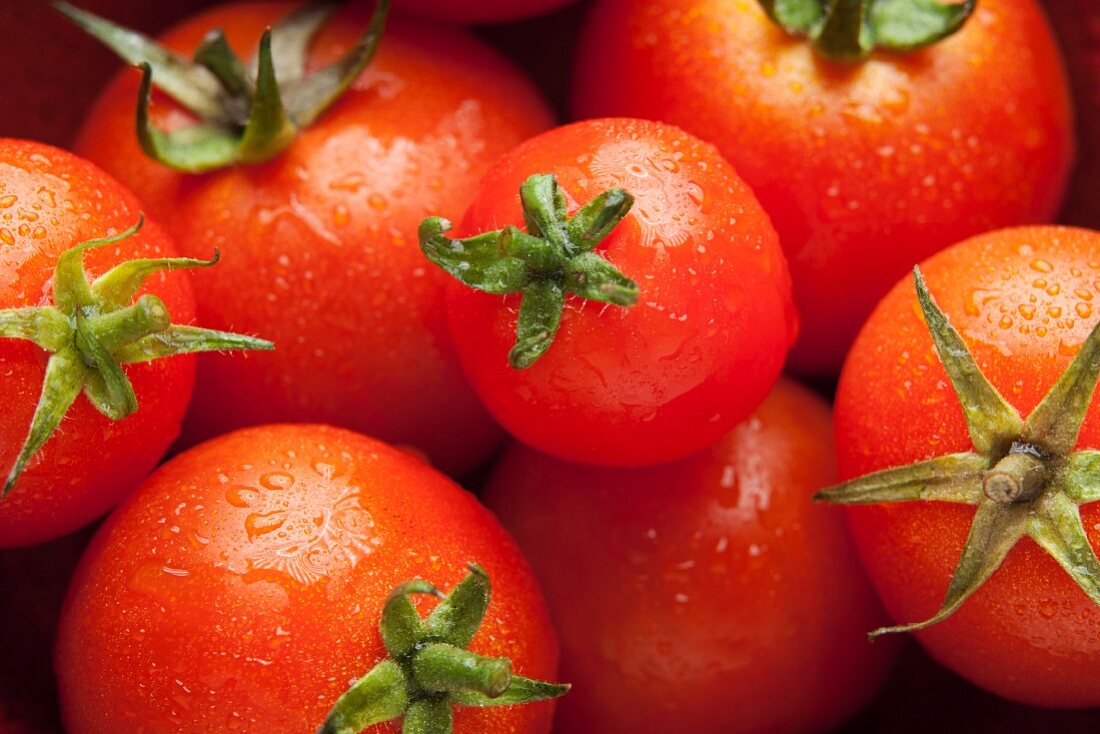 Mehrere rote Tomaten mit Wassertropfen (Draufsicht)