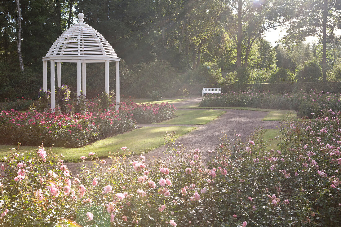 Gräflicher Park Bad Driburg, Teutoburger Wald, Ostwestfalen-Lippe