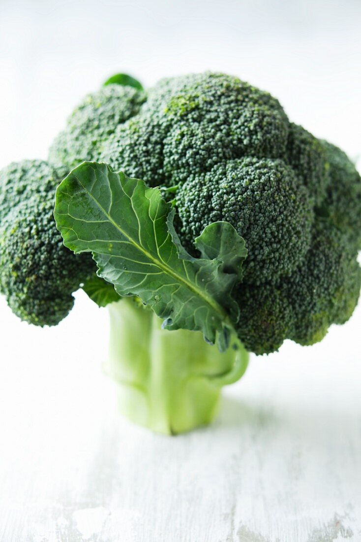 Broccoli with one leaf
