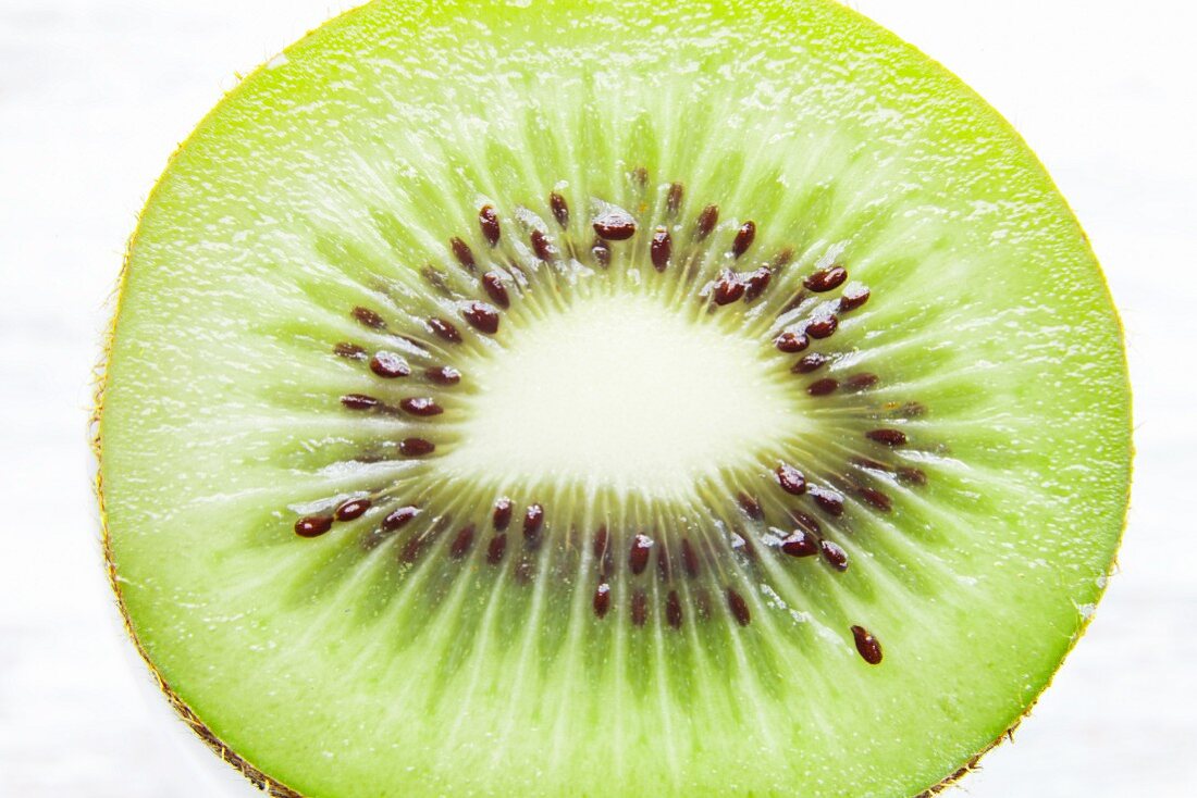 Slice of kiwi fruit (overhead view)