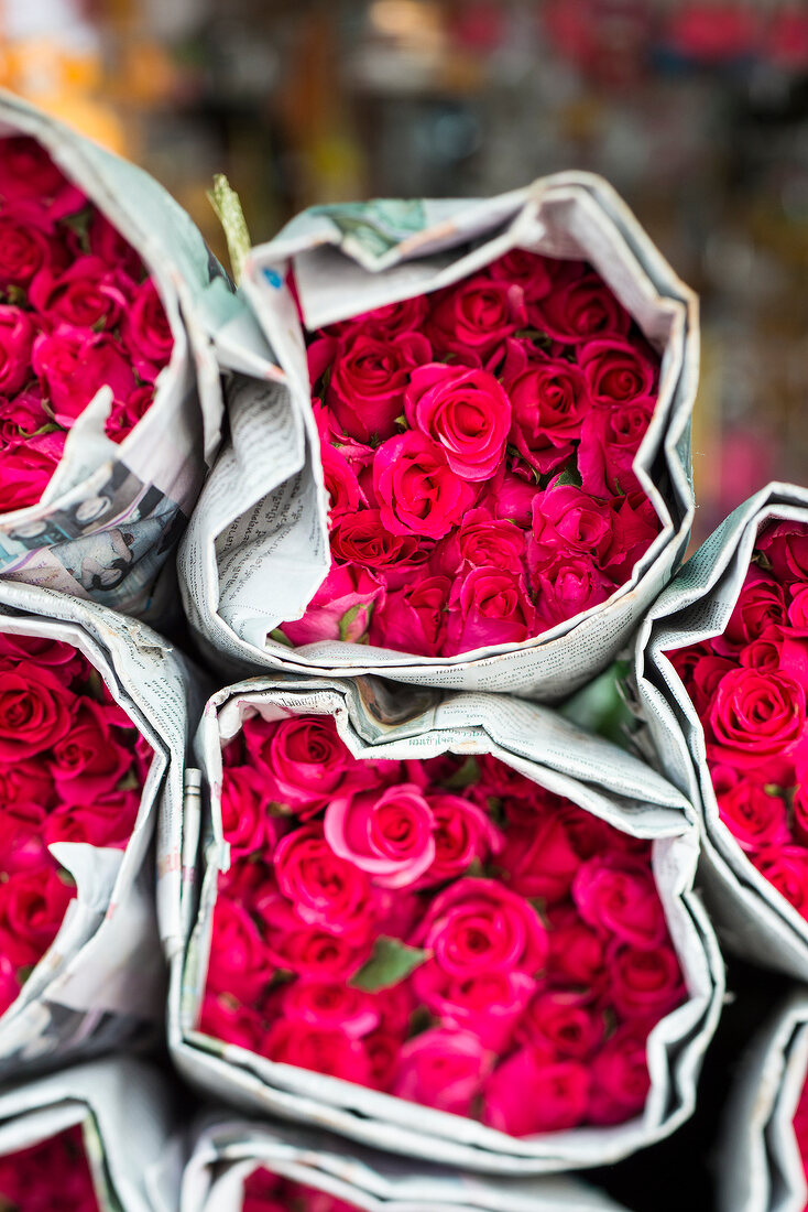 Thailand: Bangkok, frische Blumen, Marktsttand, Blumenmarkt