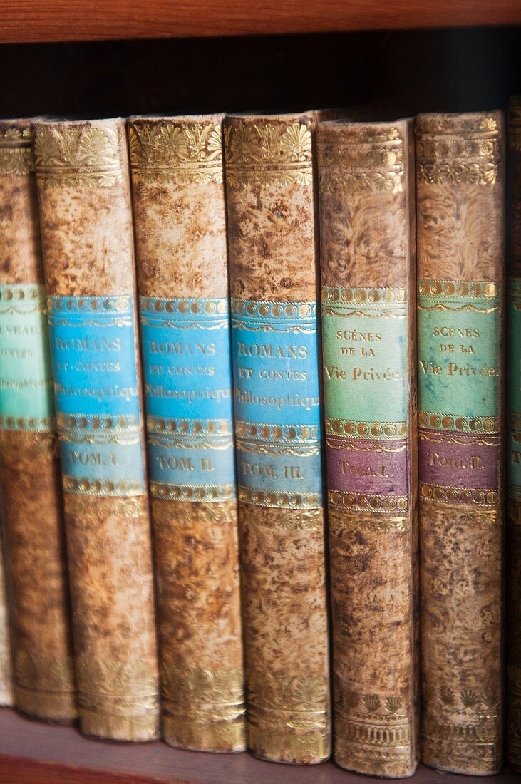 The library at Corvey – antique books with golden decorations on the spines