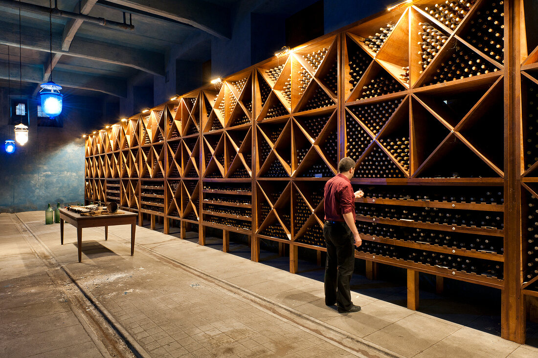 A man standing in front of a bottle shelf in a wine cellar