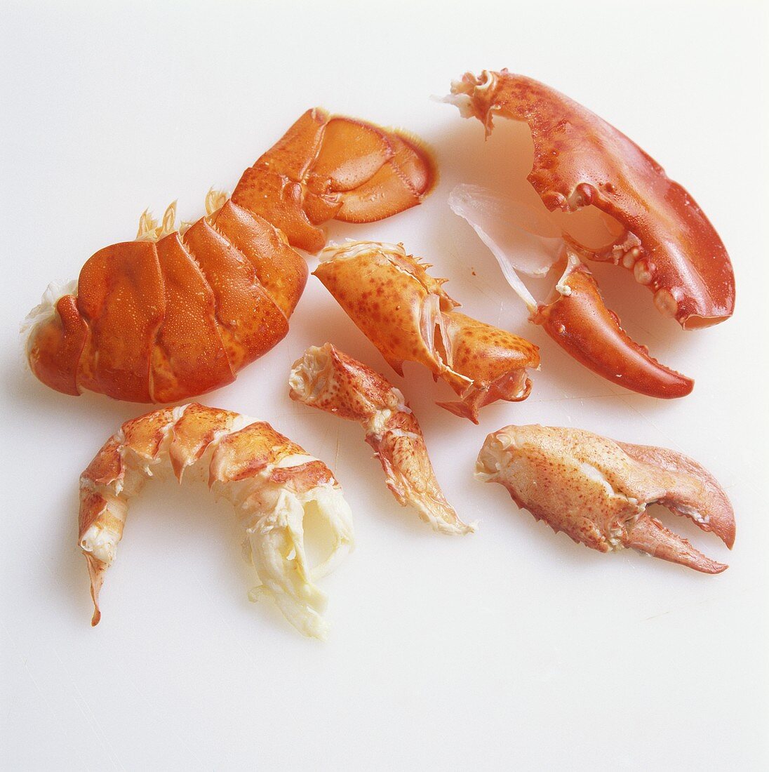 Various parts of a lobster