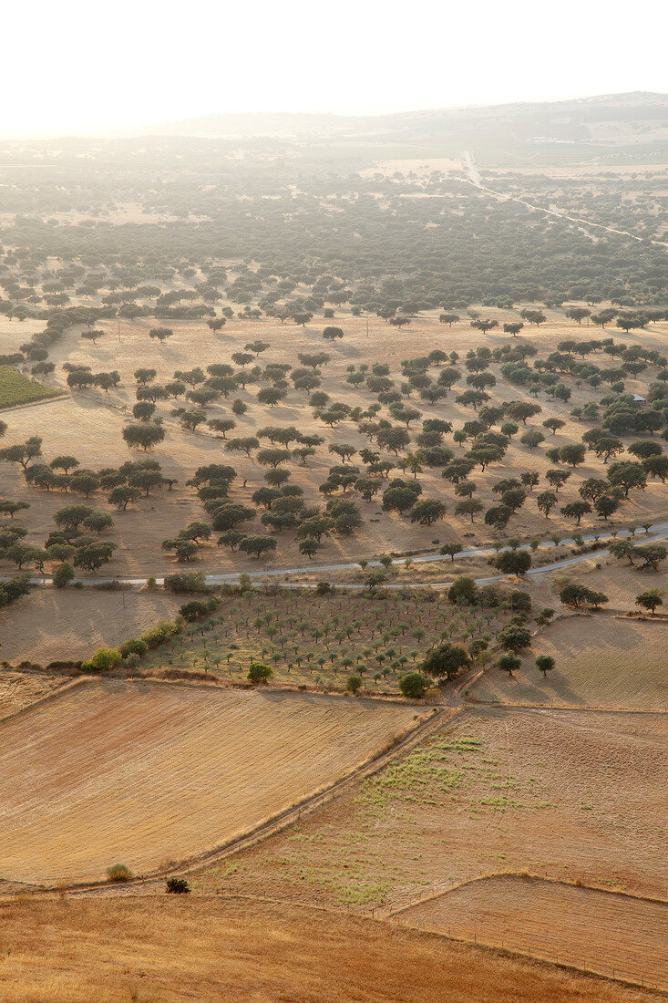 Portugal, Alentejo, bei Monsaraz