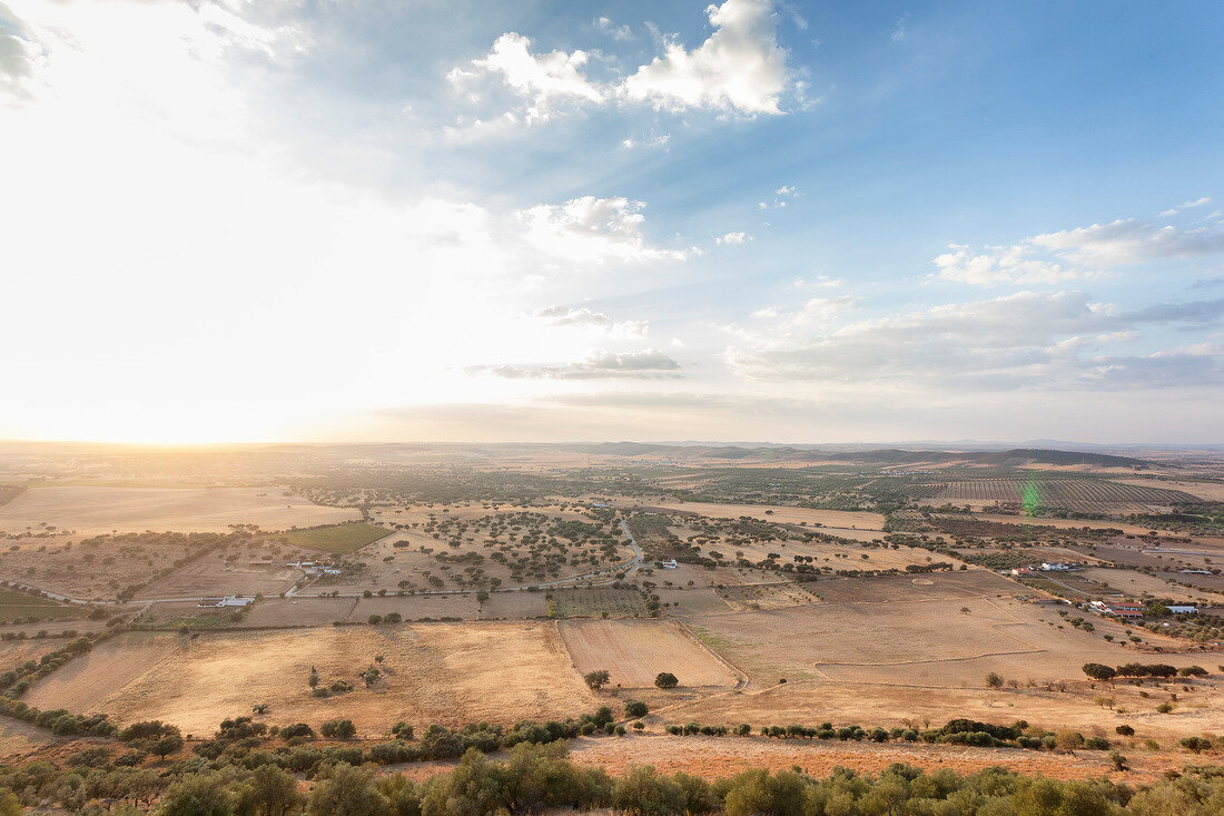 Portugal, Alentejo, bei Monsaraz