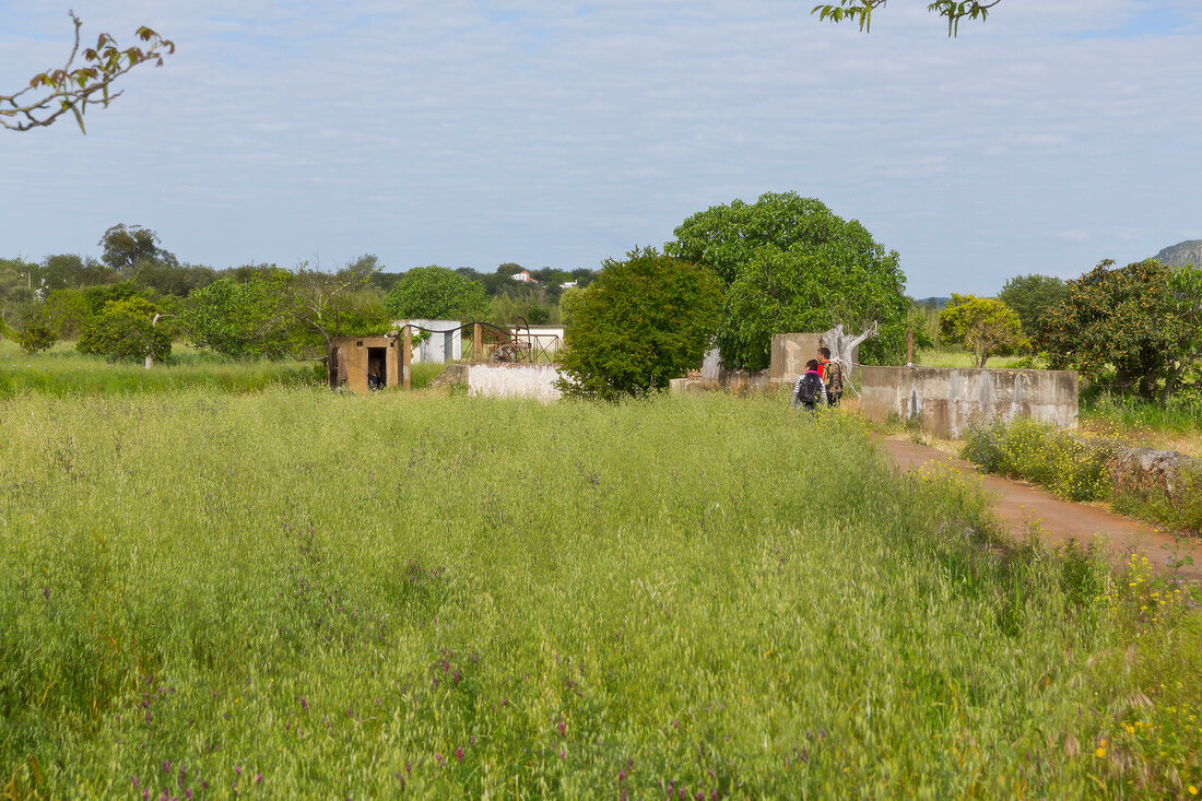 Portugal, Algarve, Weg von Salir nach Alte