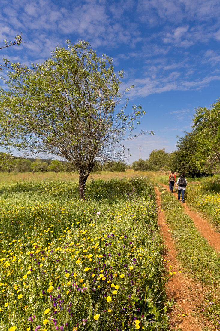 Portugal, Algarve, Weg von Salir nach Alte