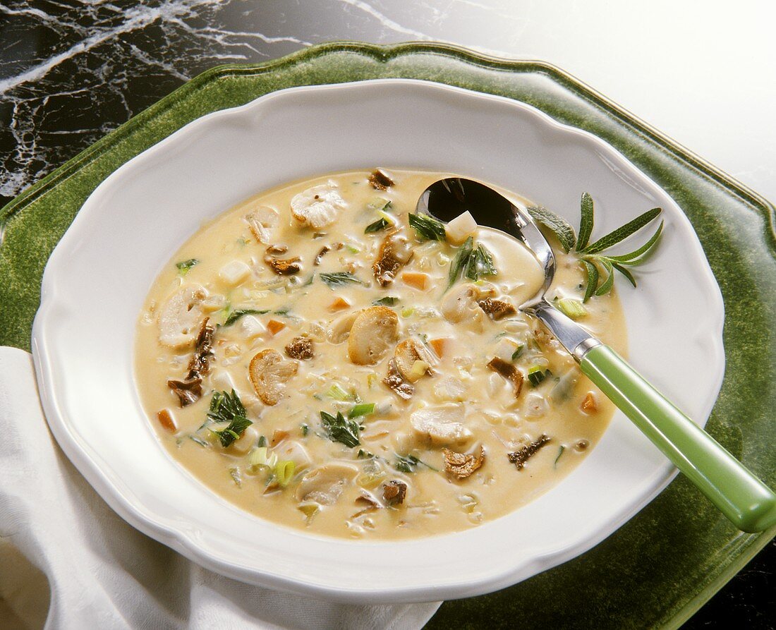 Mushroom Cream Soup with Vegetables