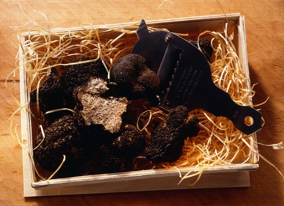 Sommertrüffel & Trüffelhobel in Kiste mit Holzwolle