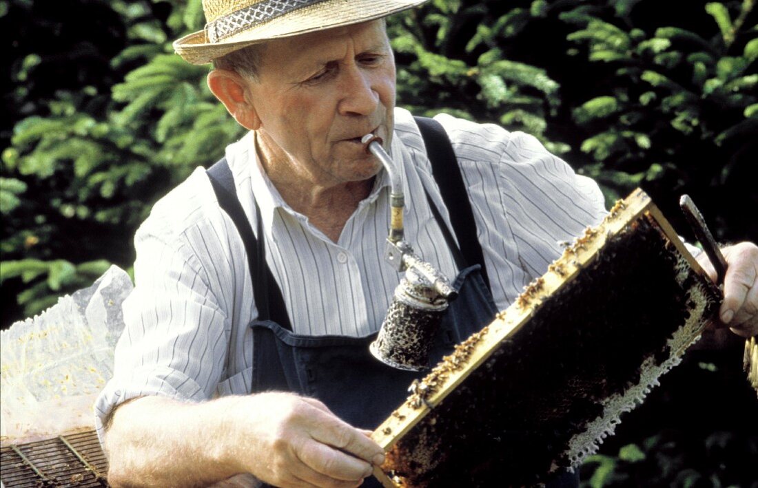 Beekeeper with Pipe and Honeycombs