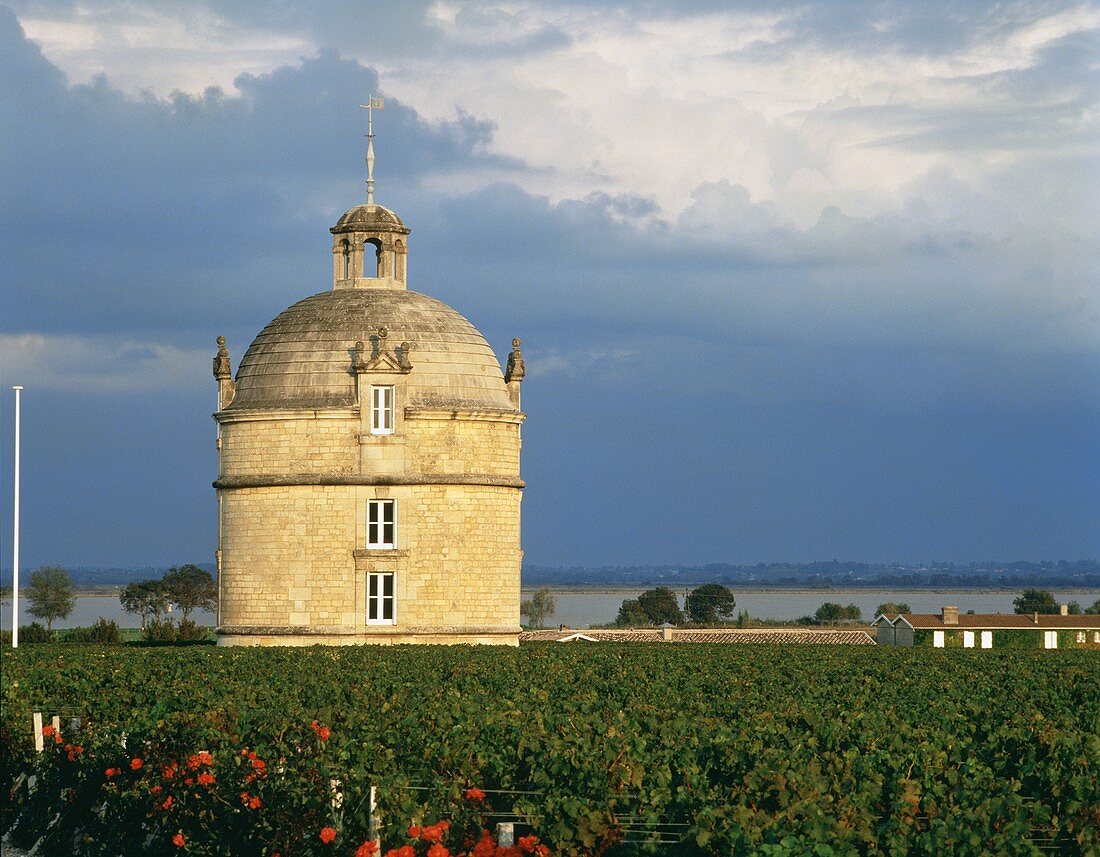 Der Turm von Château Latour, dem Spitzengut im Medoc, France