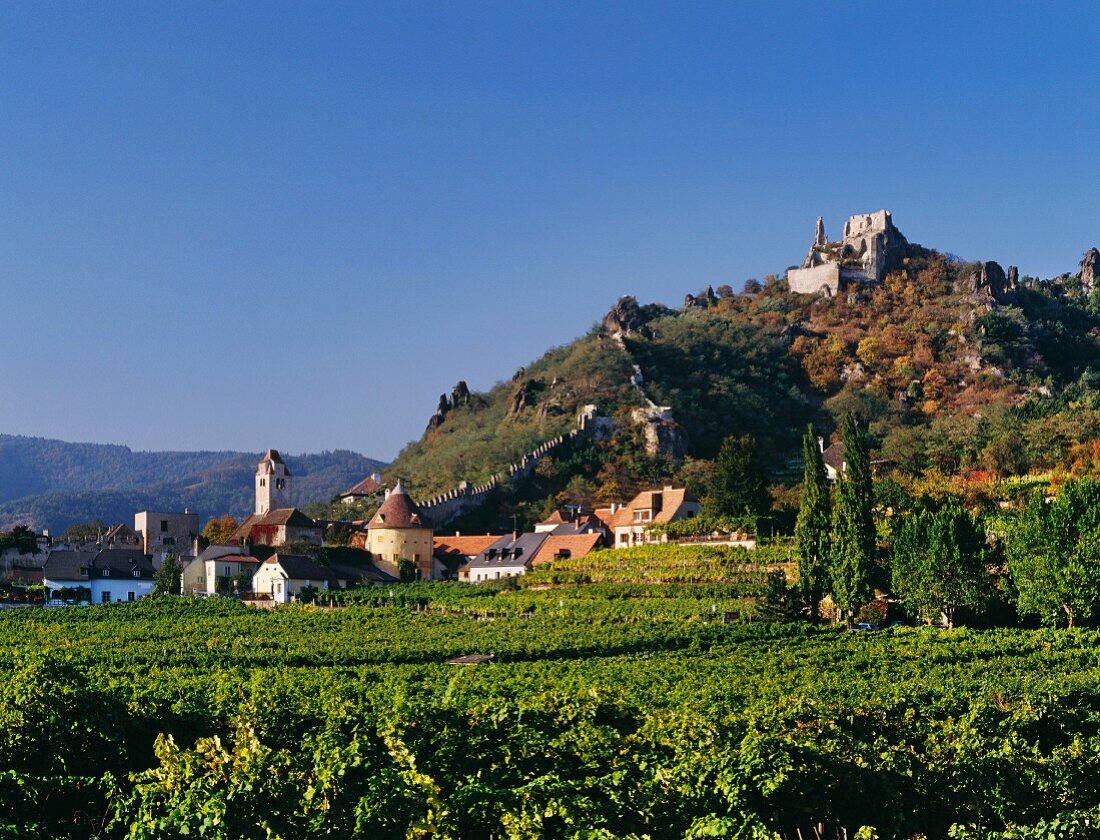 Weinberge umgeben Dürnstein im Herzen der Wachau, Österreich