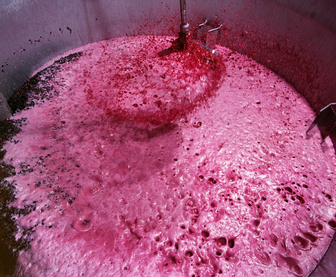 Weinherstellung: Pumpverfahren zur Extraktion von Tannin