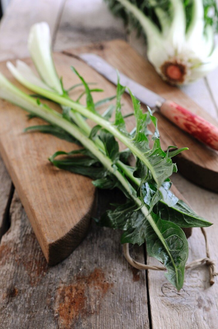 Chicory greens on a wooden chopping board