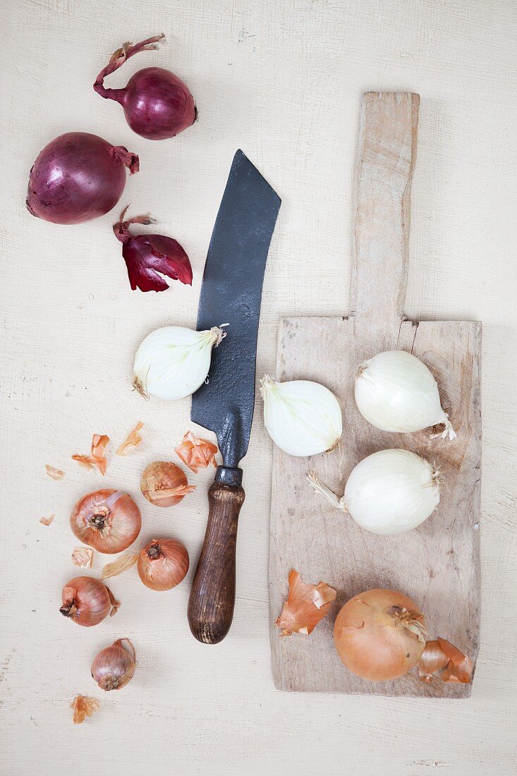 Various types of onions