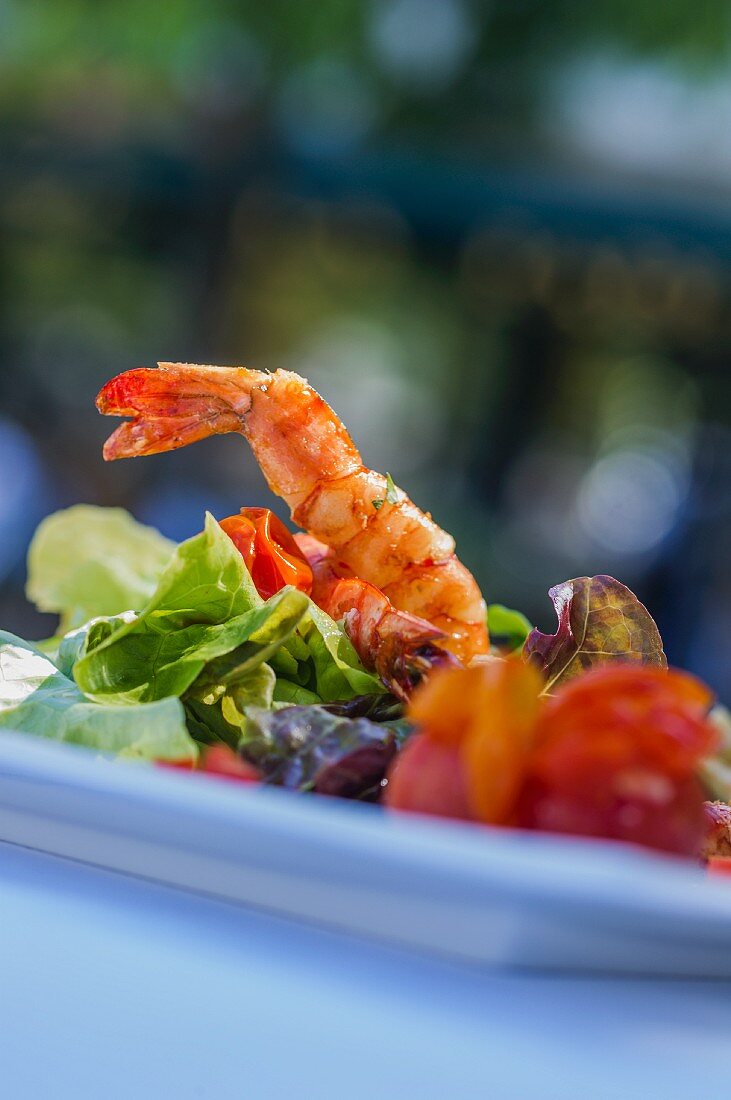 Lobster and prawn salad