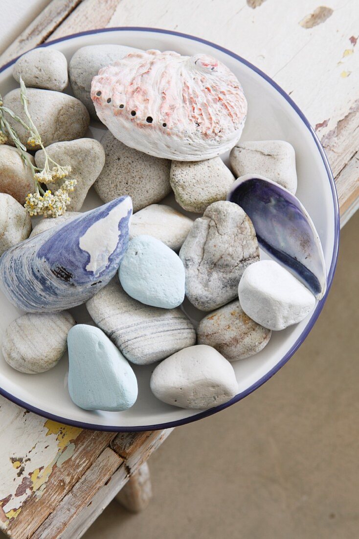 Plate of various pebbles and shells on old wooden bench with peeling paint