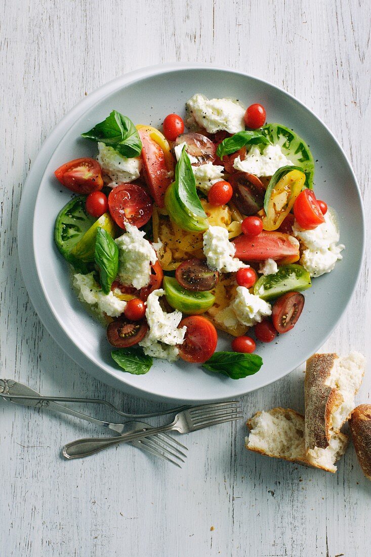 Bowl of tomato and cheese salad