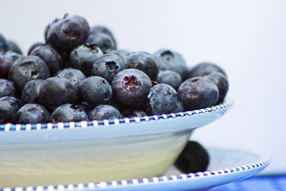 Fresh Blueberries in a Bowl
