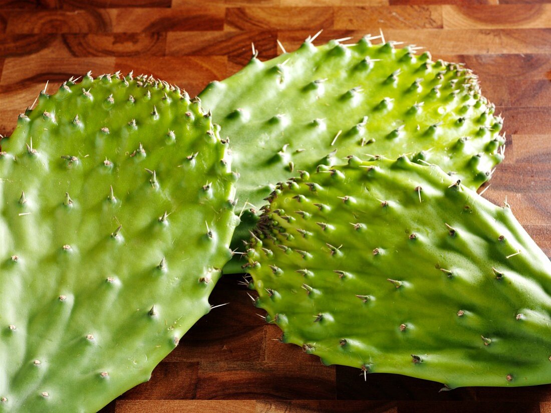 Drei Kaktusblätter mit Stacheln