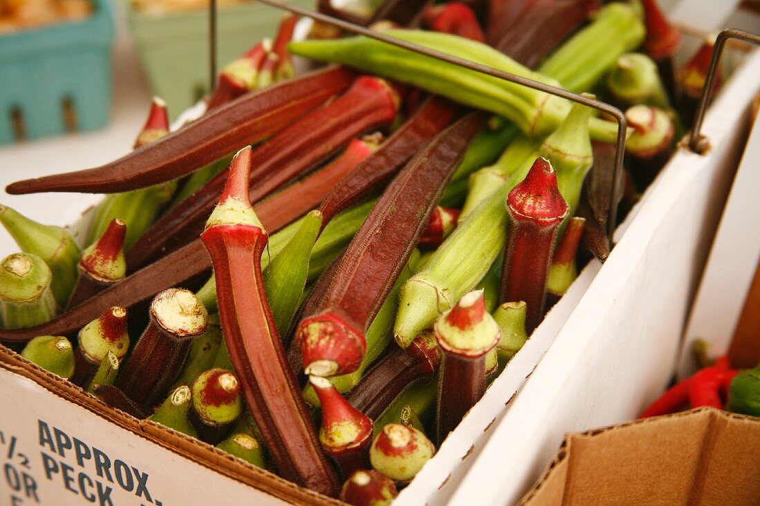 Frisch geerntete rote & grüne Bio-Okraschoten in Karton auf Markt