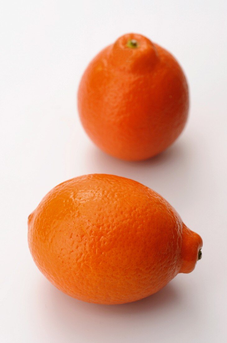 Zwei orangefarbene Zitronen