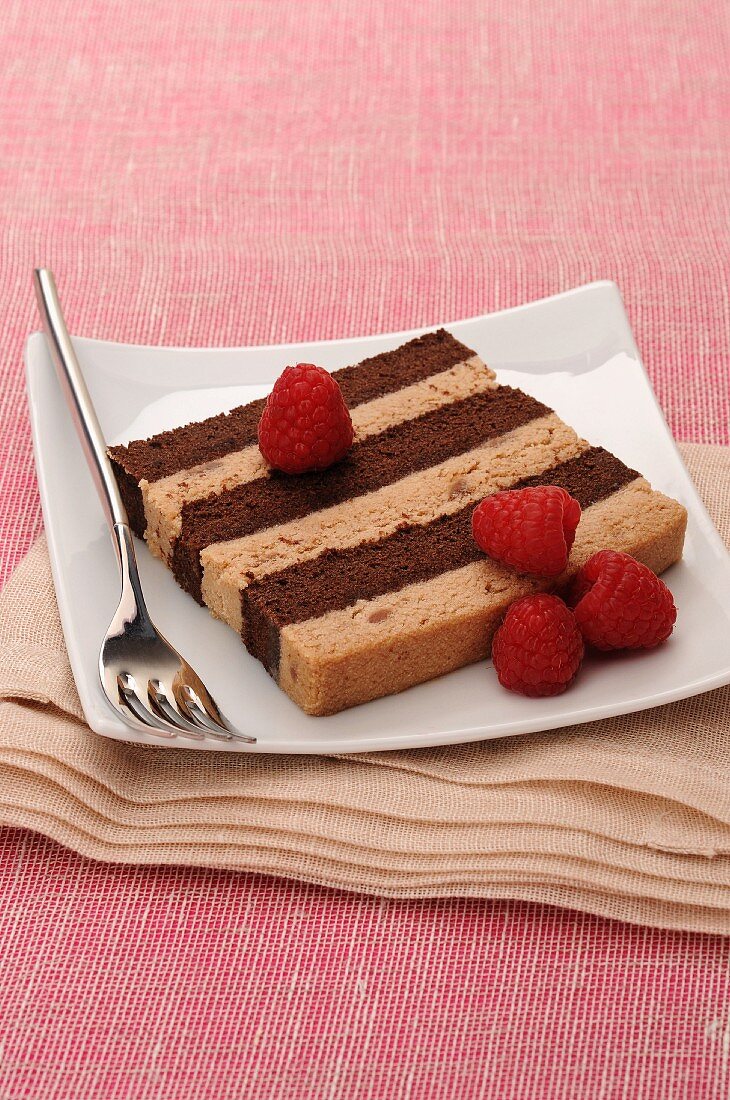 Chocolate and chestnut layer cake with raspberries