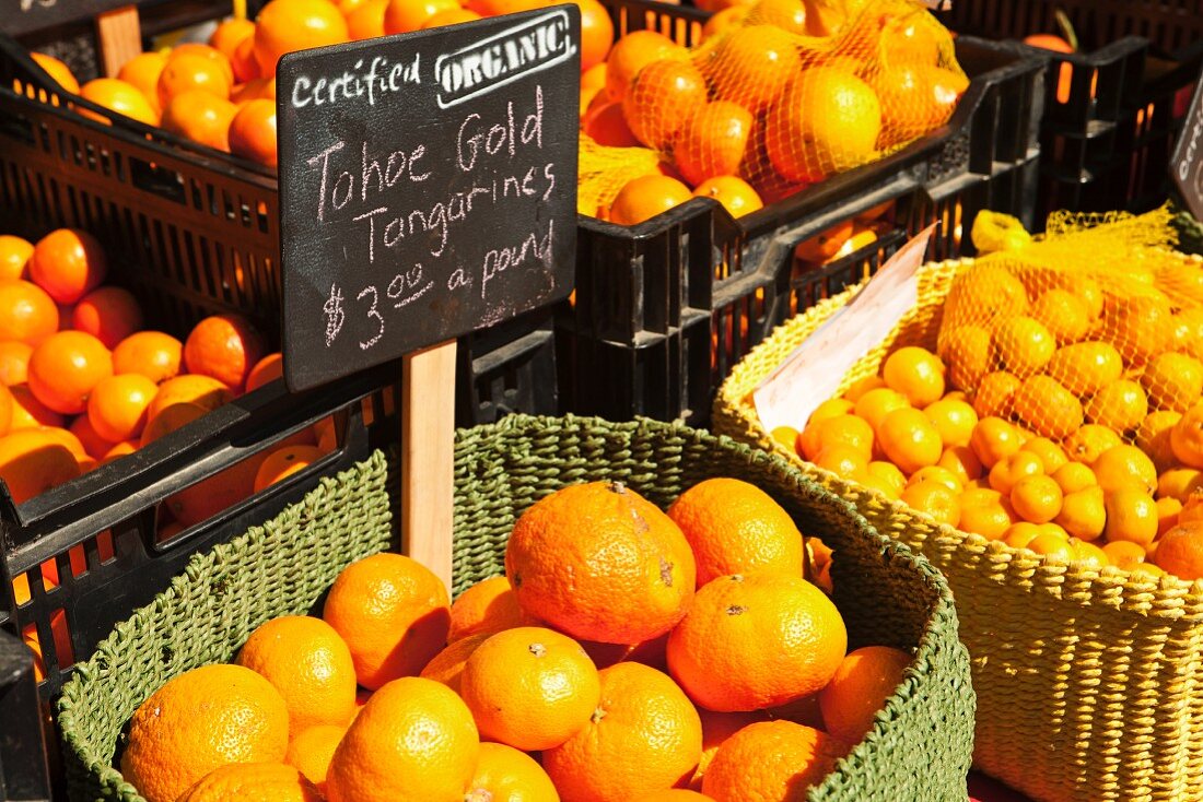 Organic Tangerines and Oranges at a Farmers Market