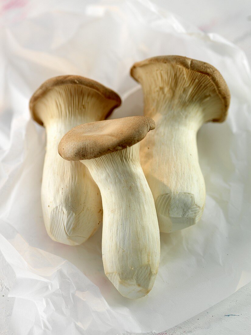 Three king oyster mushrooms