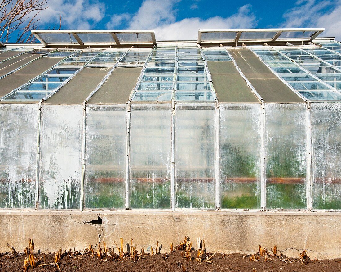 Greenhouse in Public Park