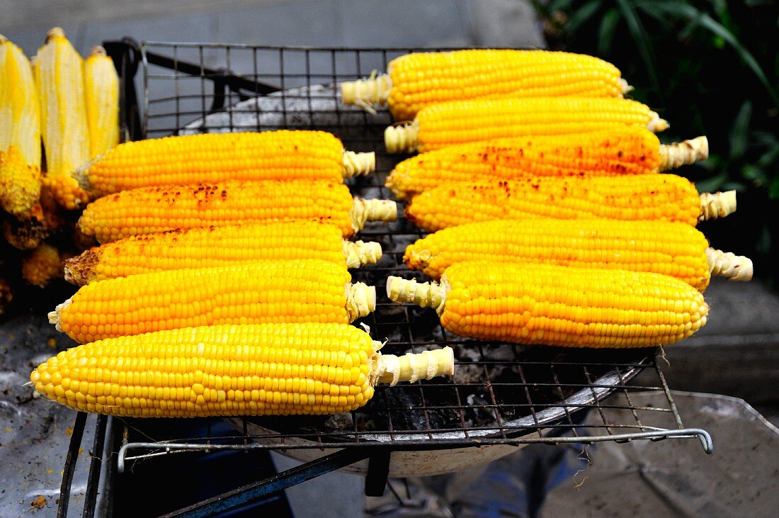 Grilled corn on the cob