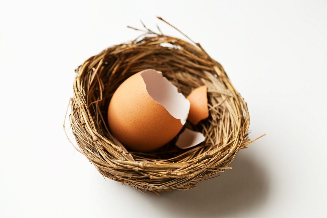 Eierschale in einem Nest