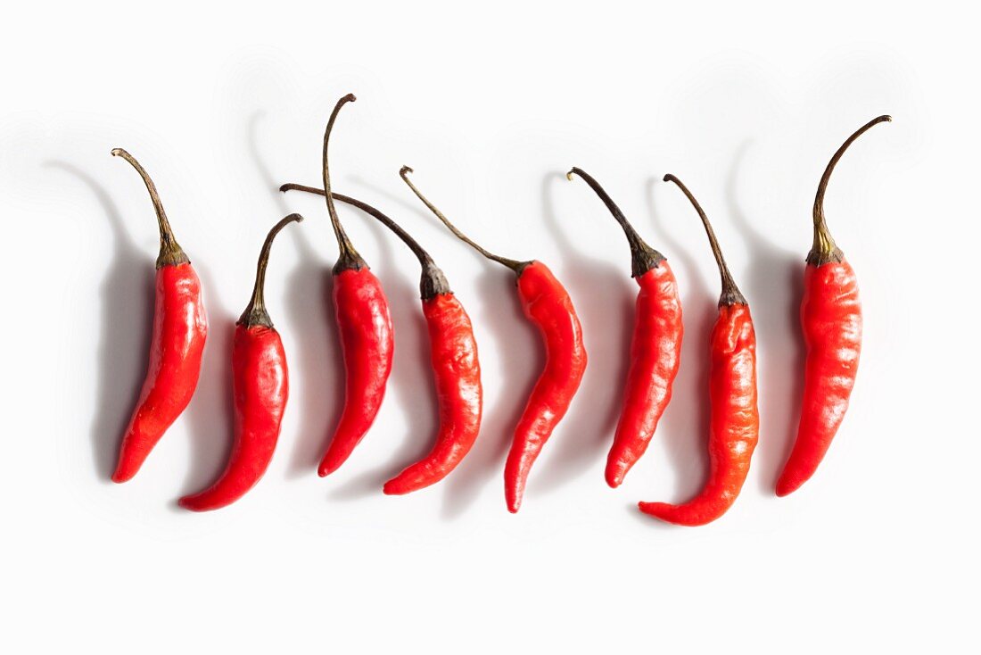 Eight Red Chili Peppers on a White Background