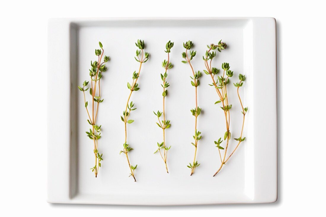 Thyme Sprigs on a White Dish