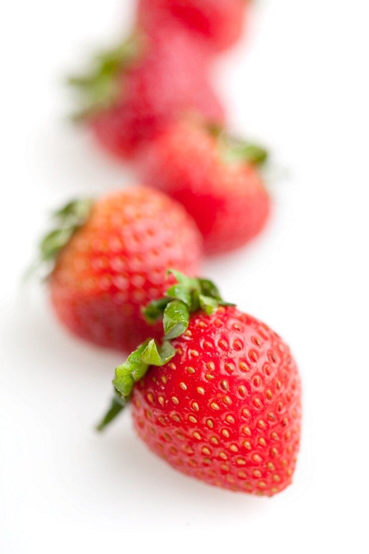 Row of Fresh Strawberries on White; Close Up