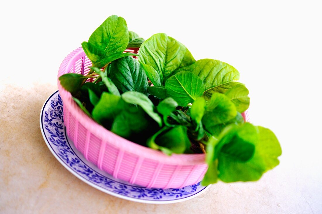 Thai spinach