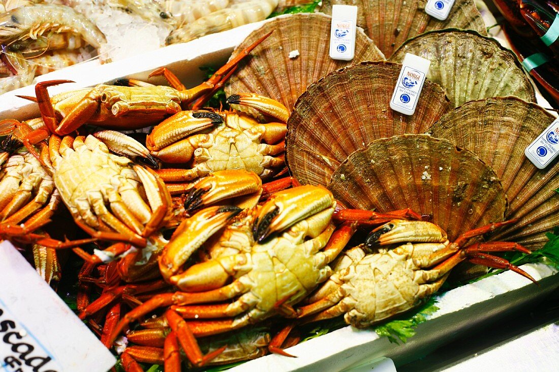 Crabs and Diver Scallops at a Market in Spain