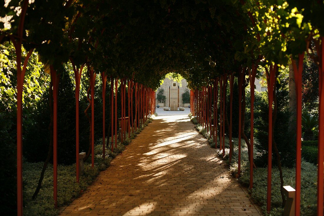 Verschwiegene, schattenspendende Weinpergola