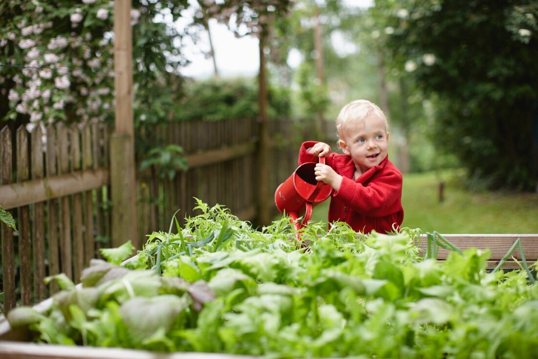 Kleiner Junge giesst Pflanzen im Hinterhof