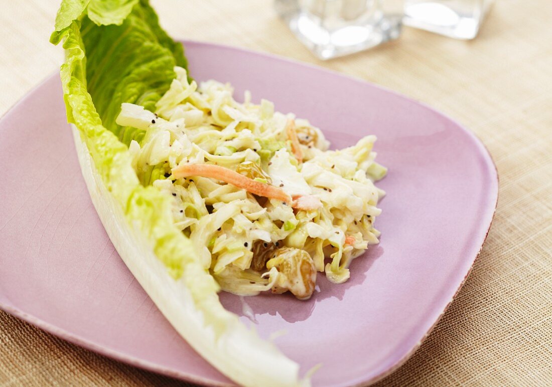Coleslaw with Golden Raisins and a Lettuce Leaf